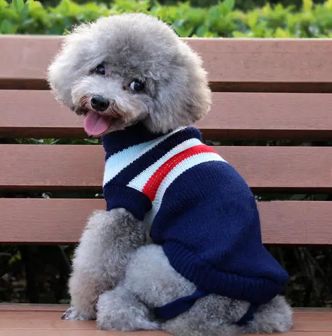 Pull pour Chien, Vêtements pour Animaux, Tenue Tricotée pour Animaux