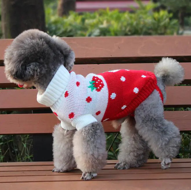 Pull pour Chien, Vêtements pour Animaux, Tenue Tricotée pour Animaux